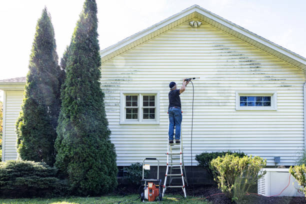 Best Building Exterior Washing  in Shady Side, MD